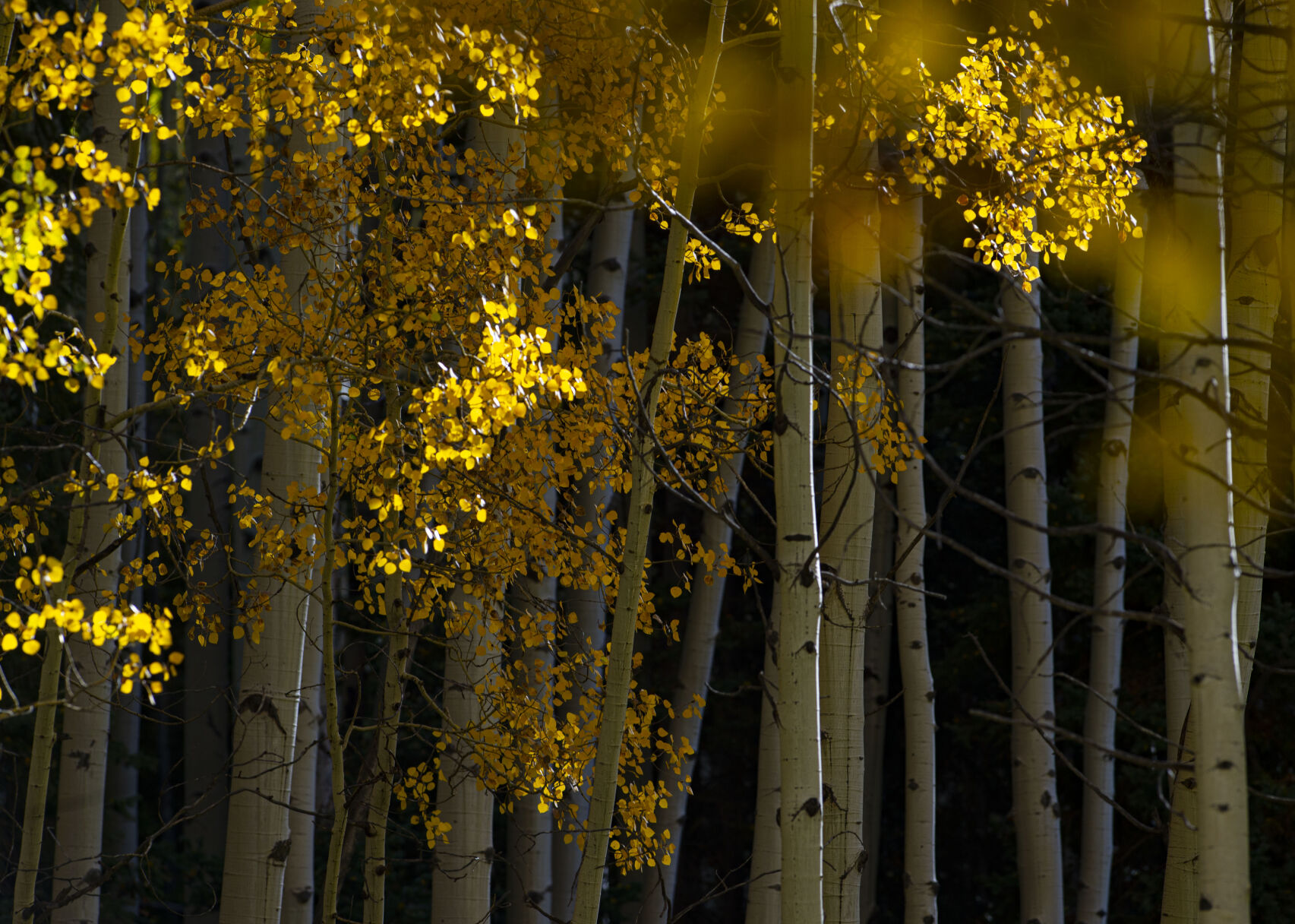 09_29_20 aspens0215.jpg